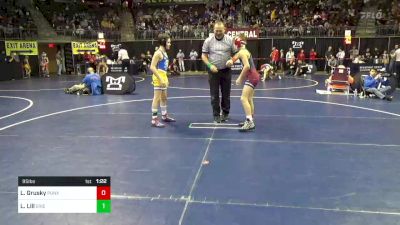 95 lbs Consy 2 - Luke Grusky, Punxsutawney vs Landon Lill, Erie