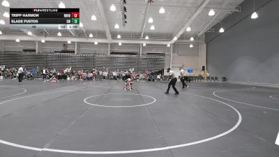 48 lbs Round 5 (8 Team) - Tripp Harmon, Neighborhood Wrestling vs Slade Fustos, Crossroads Wrestling