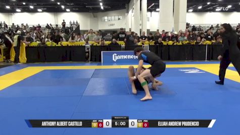 Elijah Andrew Prudencio vs Anthony Albert Castillo 2025 World IBJJF Jiu-Jitsu No-Gi Championship