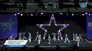 Lions Cheer Company - Fierce Cats [2024 L1.1 Youth - PREP Day 1] 2024 Nation's Choice Grand Nationals