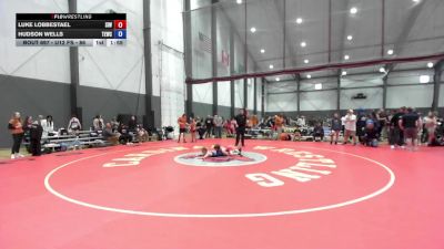 U10 FS - 77 lbs Cons. Semis - Luke Lobbestael, Sunnyside Ironman Wrestling vs Hudson Wells, Takedown Express Wrestling Club