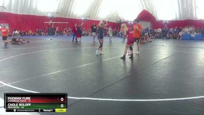 107-115 lbs Round 2 - Chole Roloff, Reedsburg vs Phoenix Fure, Cambridge-Isanti