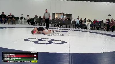 60 lbs Round 4 (6 Team) - Henry Hoffmann, Missouri Gold vs Elsie Wood, Fort Hammers