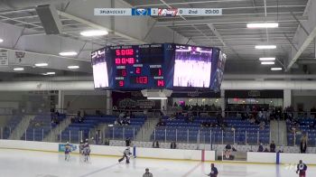 Replay: Home - 2024 Sabres vs Blades | Nov 9 @ 7 PM