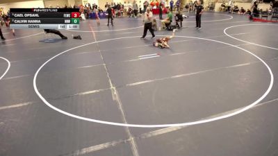 10U - 49 lbs Semis - Cael Opsahl, Forest Lake Wrestling Club vs Calvin Hanna, No Nonsense Wrestling