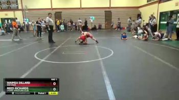 52 lbs Round 3 - Reed Richards, Laurel Wrestling Club vs Waimea Dillard, Red Hawk