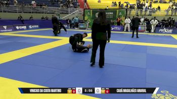 Cauã Magalhães Amaral vs Vinicius Da Costa Martins 2025 Brasileiro Jiu-Jitsu IBJJF