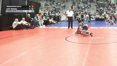 113 lbs Semifinal - Teequavious Mills, GA vs Gary Mendez, FL