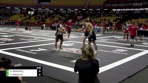 ARLEY BRANDAO vs PABLO ROSALES 2024 ADCC South American Trials 1