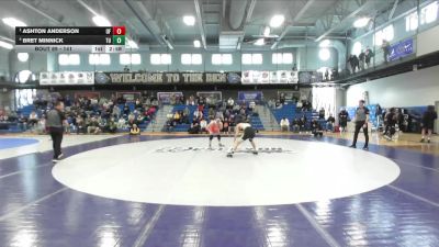 141 lbs Semifinal - Ashton Anderson, Findlay vs Bret Minnick, Tiffin