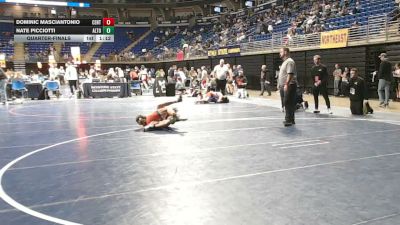 103 lbs Quarterfinal - Dominic Masciantonio, Central Bucks vs Nate Picciotti, Altoona