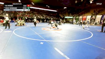 165 Class 3 lbs Semifinal - Eli Homan, Helias Catholic vs Noah Gonzalez, St. Pius X (Kansas City)