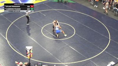 132 lbs Consi Of 32 #2 - Dylan Ferguson, Hickory vs Cameron Folmar, Harbor Creek