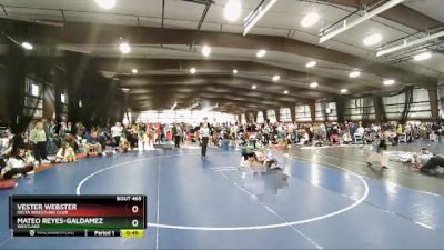 43 lbs Quarterfinal - Mateo Reyes-Galdamez, Westlake vs Vester Webster, Delta Wrestling Club