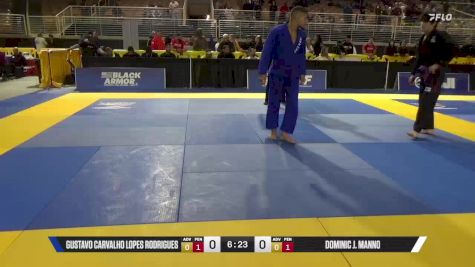 Dominic J. Manno vs Gustavo Carvalho Lopes Rodrigues 2025 Pan Jiu Jitsu IBJJF Championship