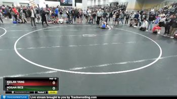74 lbs Quarterfinal - Keilan Yang, WI vs Hogan Rice, IL