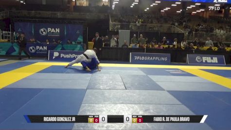 Fabio R. De Paula Bravo vs Ricardo Gonzalez Jr 2025 Pan Jiu Jitsu IBJJF Championship