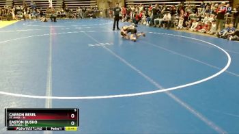 93 lbs Semis (4 Team) - Carson Besel, St. James vs Easton Busho, Owatonna