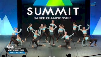 The Vision Dance Center - Youth Small Jazz [2025 Youth - Jazz - Small Semis] 2025 The Dance Summit