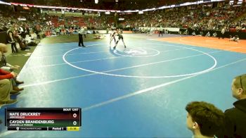 D1-160 lbs Cons. Semi - Cayden Brandenburg, Janesville Parker vs Nate Druckrey, Arrowhead