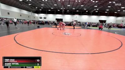 190A Cons. Round 2 - Trip Cole, Hewitt-Trussville vs Kaden Witzel, GLENPOOL