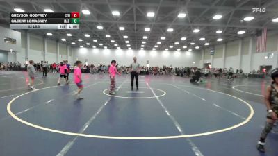 52 lbs Rr Rnd 1 - Greyson Godfrey, CTWHALE Beluga - EL vs Gilbert Lomasney, Mat Warriors - EL
