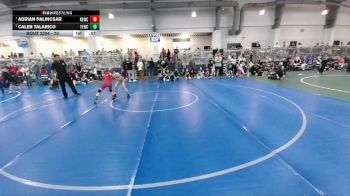 70 lbs 1st Place Match - Adrian Palincsar, NB Elite Wrestling Club vs Caleb Talarico, Texas Elite Wrestling Club
