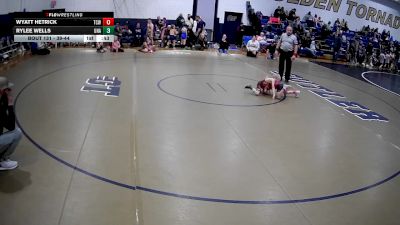 39-44 lbs Round 3 - Wyatt Hetrick, TOTAL CHAOS WRESTLING vs Rylee Wells, Unattached