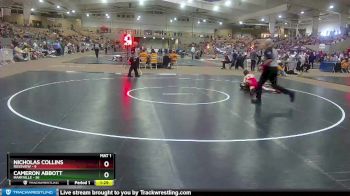 113 lbs Semis & 1st Wb (8 Team) - Nicholas Collins, Rossview vs Cameron Abbott, Maryville