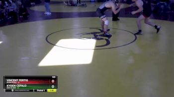 165 lbs Round 5 (8 Team) - Vincent Fertig, Bear River vs Kyden Cefalo, Box Elder