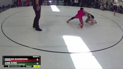 103 lbs Round 5 - Angelina Schademann, Nebraska vs Kobie Kosek, Seward High School Wrestling