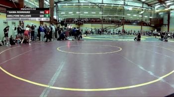 135 lbs Champ. Round 1 - Amillyone Williams, Canon-McMillan vs Naima Rodriguez, Fauquier High School
