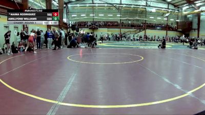 135 lbs Champ. Round 1 - Amillyone Williams, Canon-McMillan vs Naima Rodriguez, Fauquier High School