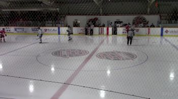 Replay: Home - 2025 Lumber Barons vs Blades | Mar 2 @ 1 PM