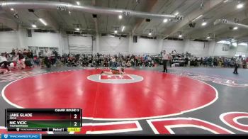 138 lbs Champ. Round 3 - Nic Vicic, Thunderridge vs Jake Glade, Mead