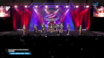 The California All Stars - Camarillo - Smoed [2025 L6 Senior Coed - Small Day 1] 2025 The American Showcase