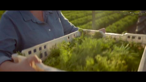 Replay: Midwestern State vs Angelo State - DH | Apr 25 @ 7 PM