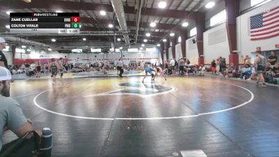 155 lbs Round 3 (12 Team) - Zane Cuellar, Garnet Valley vs Colton Vitale, Prime Silver