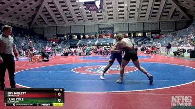 6A-215 lbs Cons. Round 3 - Sky Niblett, Gainesville vs Luke Cole, Dunwoody