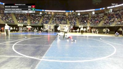 74 lbs Consy 1 - Mccoy Mishler, Somerset vs Mason Pascarella, Wellsboro