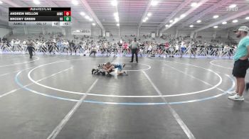 65 lbs Rr Rnd 2 - Andrew Mellon, All-American Wrestling Club Blue vs Brodey Green, Ohio Gold