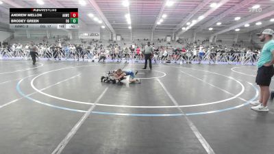65 lbs Rr Rnd 2 - Andrew Mellon, All-American Wrestling Club Blue vs Brodey Green, Ohio Gold