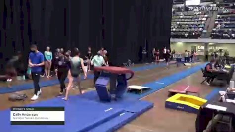 Cally Anderson - Women's Group, Northern Twistars Gymnastics - 2021 Women's Xcel Region 4 Championships