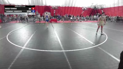 165 lbs Cons. Round 5 - Diego Torres, Askren Wrestling Academy vs Dominic Viebrock, Saint Croix Falls High School Wrestling