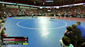 D1-165 lbs Cons. Round 1 - Jackson Hughes, Onalaska/Luther vs Austin Schulist, Mukwonago