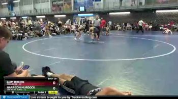 95 lbs Round 5 (8 Team) - Liam Ritchie, NOLA Black vs Harrison Murdock, The Big MF Purge