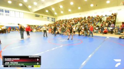 108 lbs Quarterfinal - Jade Truong, OCEAN VIEW HIGH SCHOOL/ OCG vs Alison Chavez, Pounders WC