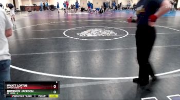 95 lbs Semis & 1st Wrestleback (8 Team) - Wyatt Loftus, Dover-Eyota vs Dominick Jackson, St. Peter