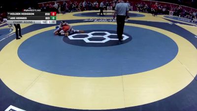 D3-138 lbs Champ. Round 1 - Abe Hermes, Mil. Edison vs Holden Hodgson, Nelsonville-York