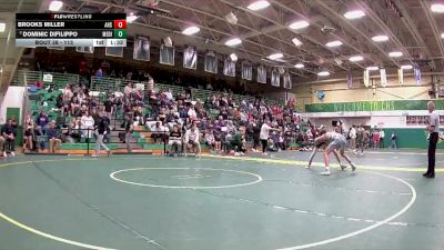113 lbs Champ. Round 1 - Dominic DiFilippo, Medina vs Brooks Miller, Archbold High School